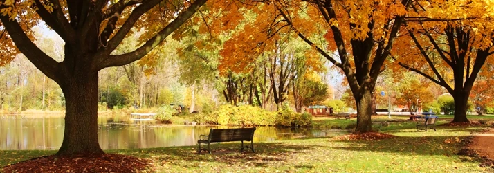Chiropractic Service Area Wauwatosa WI Outdoor Park Scene Chiropractic Service Area Wauwatosa WI Outdoor Park Scene